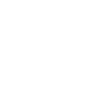 Havana Club Especial