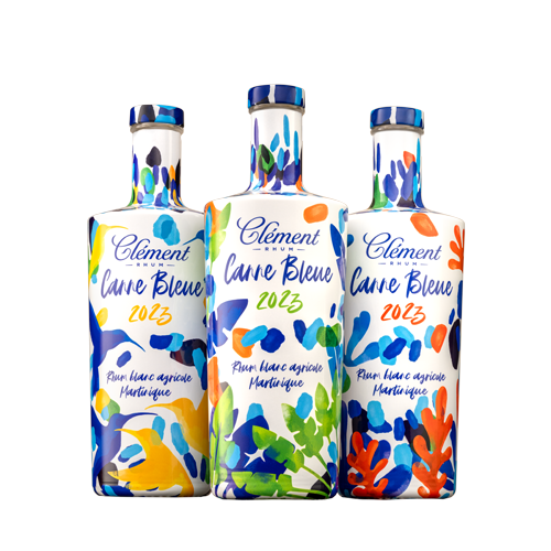Clément Canne Bleue 2025